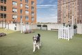 Additional image 31 of 273 16th St, Jersey City, NJ, 07310