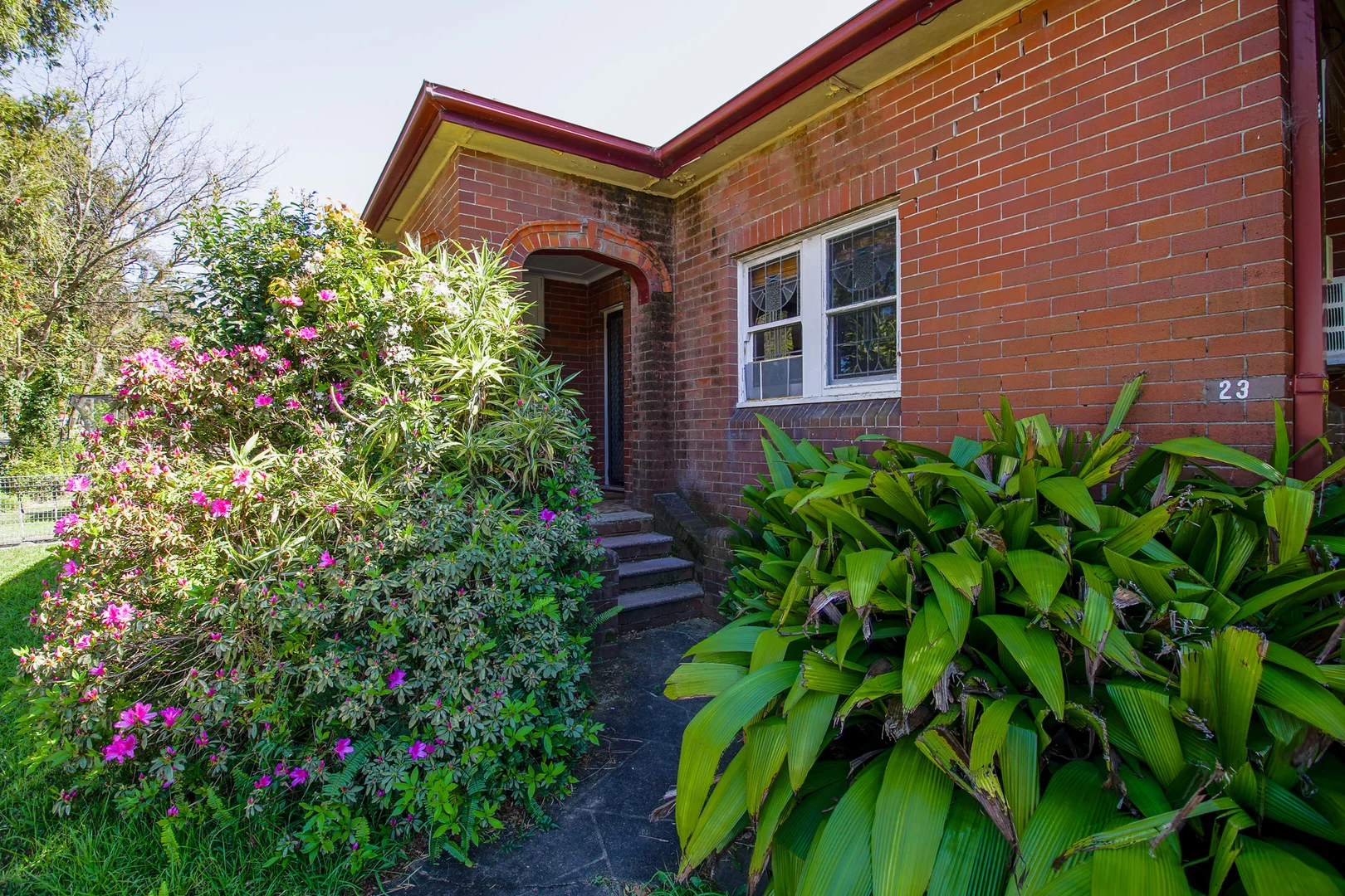 Additional image 2 of 23 Patterson Street, Concord NSW 2137