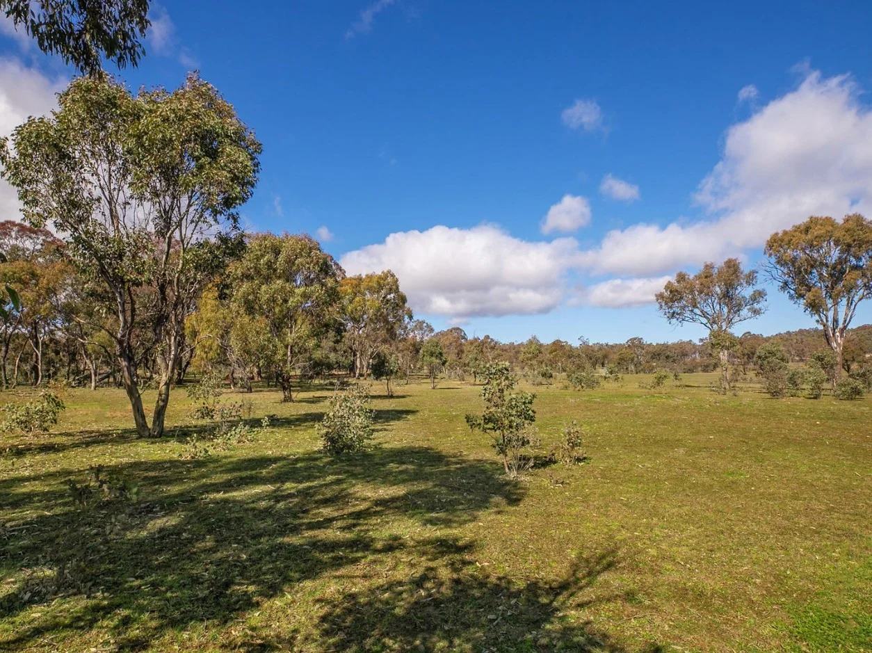 Additional image 5 of 44a Hibberd Crescent, Forde ACT 2914