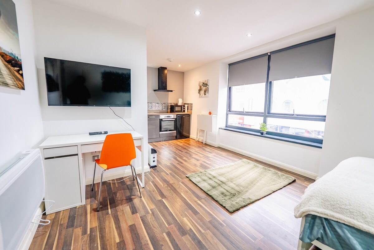 Additional image 3 of Studio Flat, City Road, CF24, N1 7GU