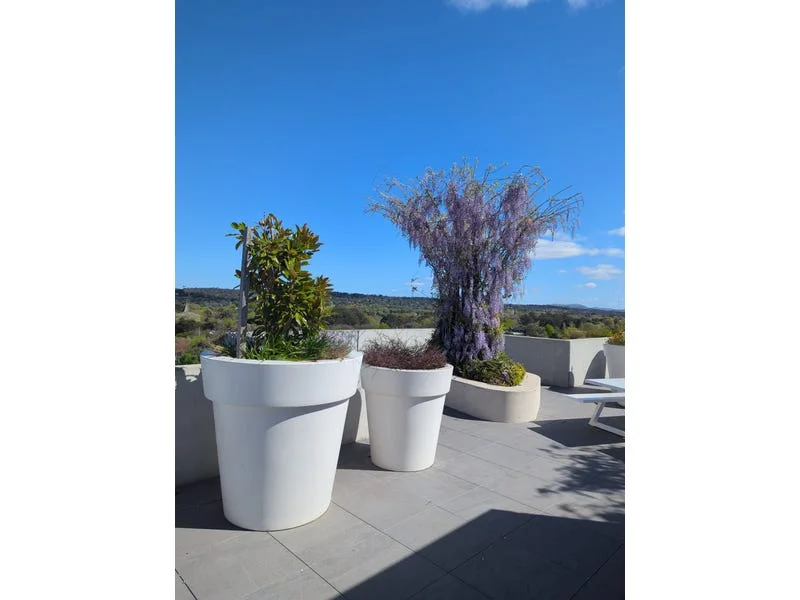 Additional image 15 of 146/217 Northbourne Avenue, Turner ACT 2612