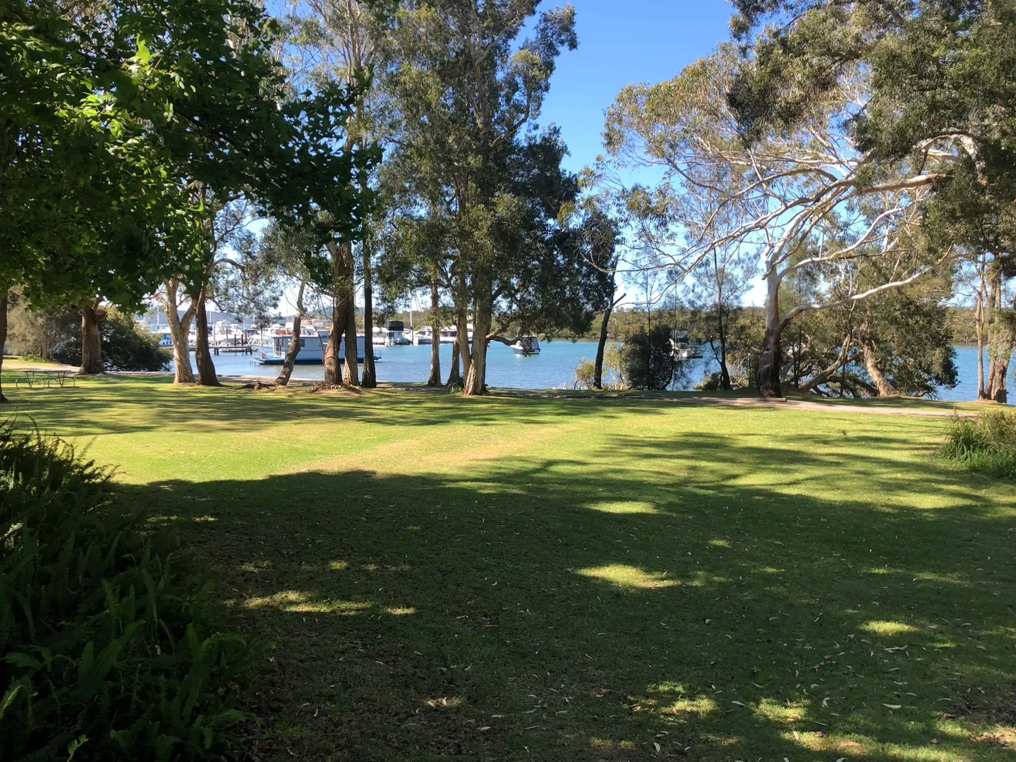 Additional image 8 of 1/64 Johnson Parade, Lemon Tree Passage NSW 2319