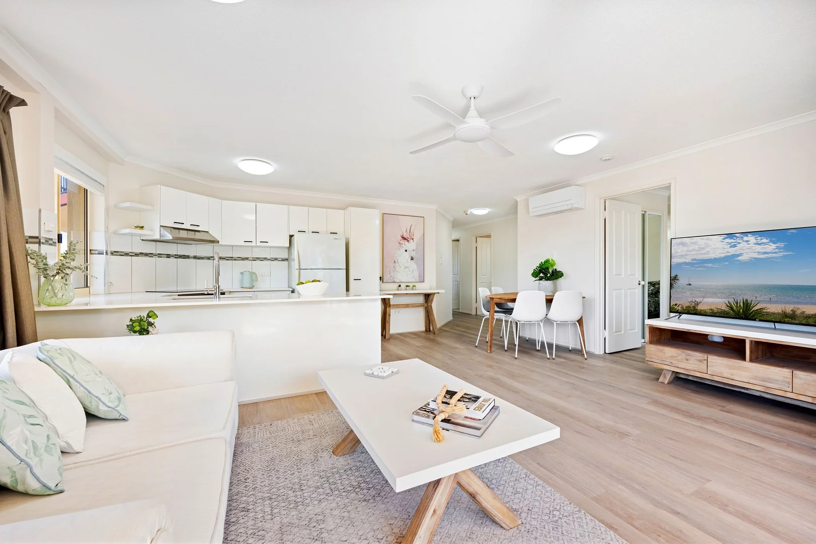 8/496 Esplanade, Torquay QLD 4655