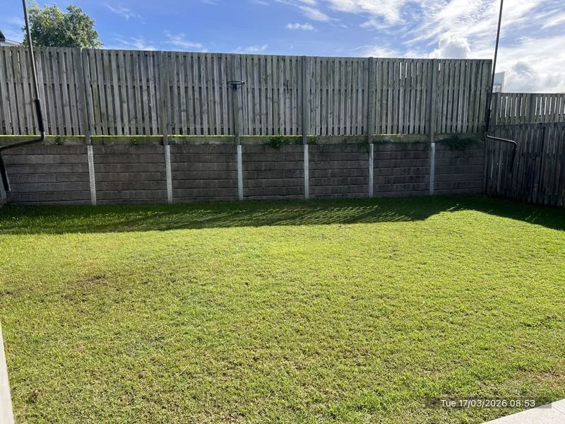 32 Rivina Circuit, Coomera QLD 4209 photo 5