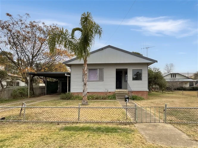 3 Renfree Street, Forbes NSW 2871