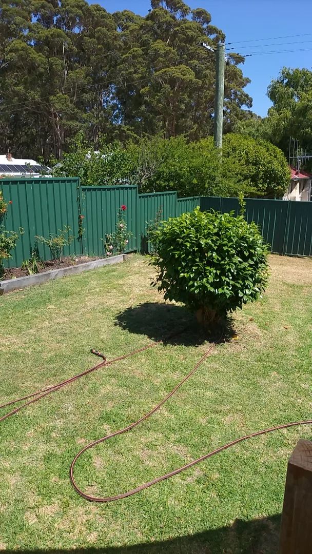 Additional image 14 of 3 Millar Street, Denmark WA 6333