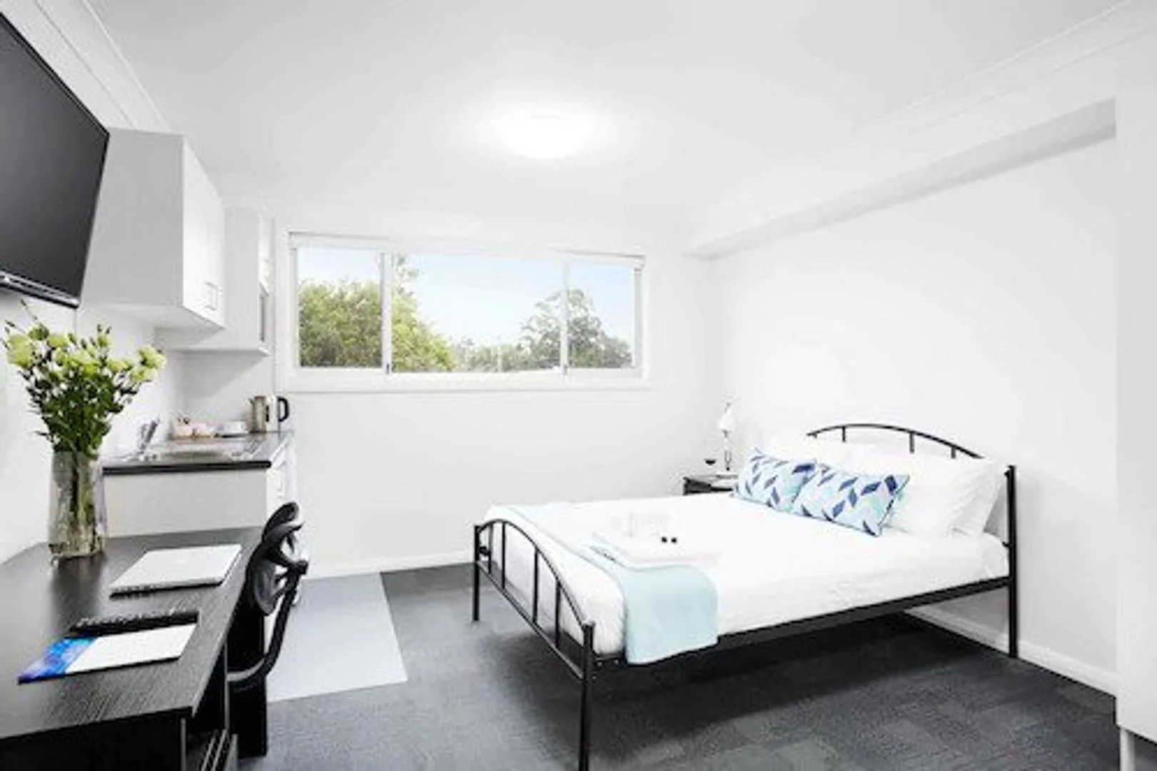 11 Hanbury Street, Mayfield NSW 2304