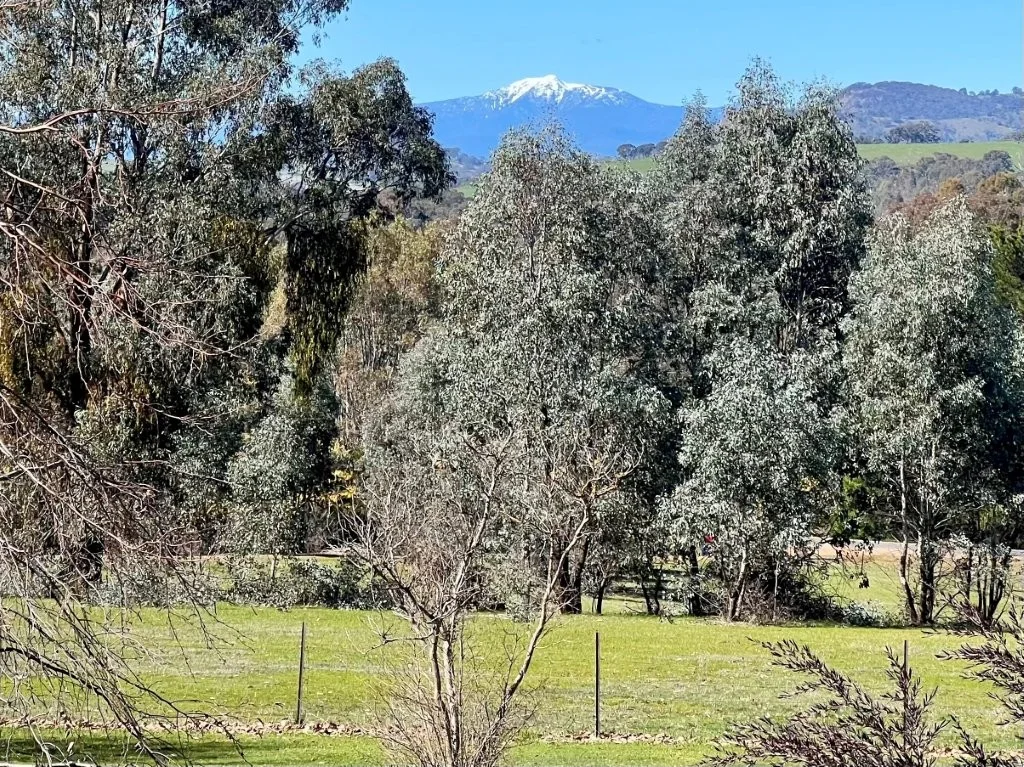 Additional image 21 of 110 Ford Drive, Mansfield VIC 3722
