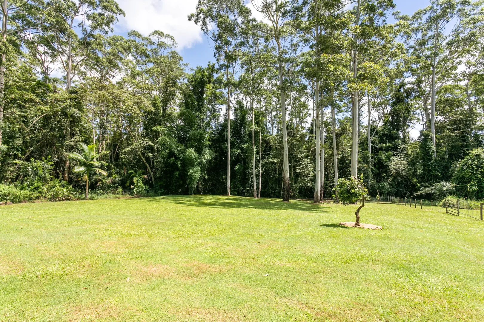 Additional image 22 of 2 Kelly Court, Lake Macdonald QLD 4563