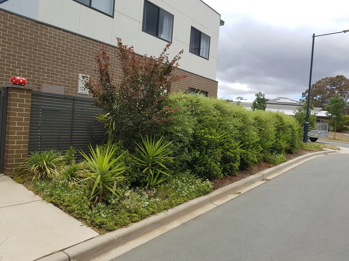 Additional image 2 of 5 Proud Street, Forde ACT 2914