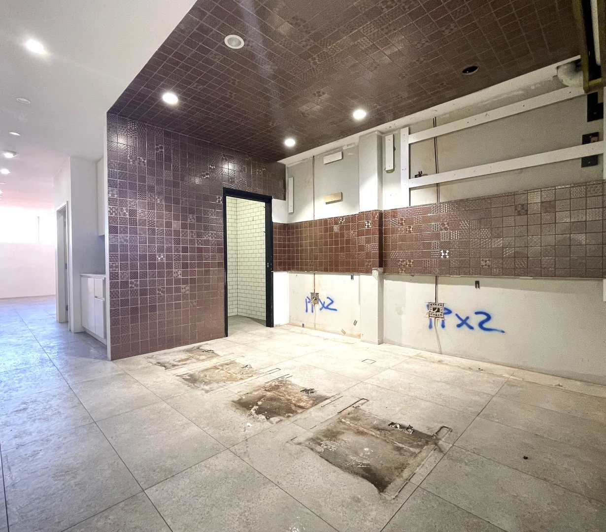 Additional image 11 of 109 Edwin Street, Croydon NSW 2132