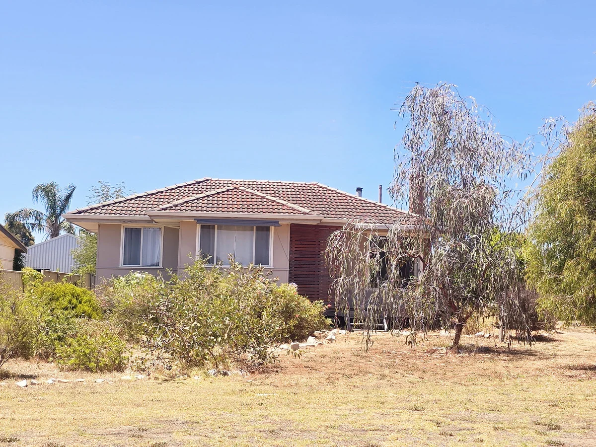 16 Limmer Street, Manjimup WA 6258