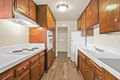 Additional image 12 of 433 Kelton Ave, Los Angeles, CA, 90024