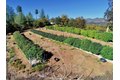 Additional image 8 of 470 S Meadow Ln, Hayfork, CA, 96041