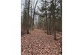 Additional image 39 of 1742 Addison Back Rd, Addison, NY, 14801