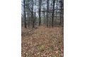 Additional image 44 of 1742 Addison Back Rd, Addison, NY, 14801