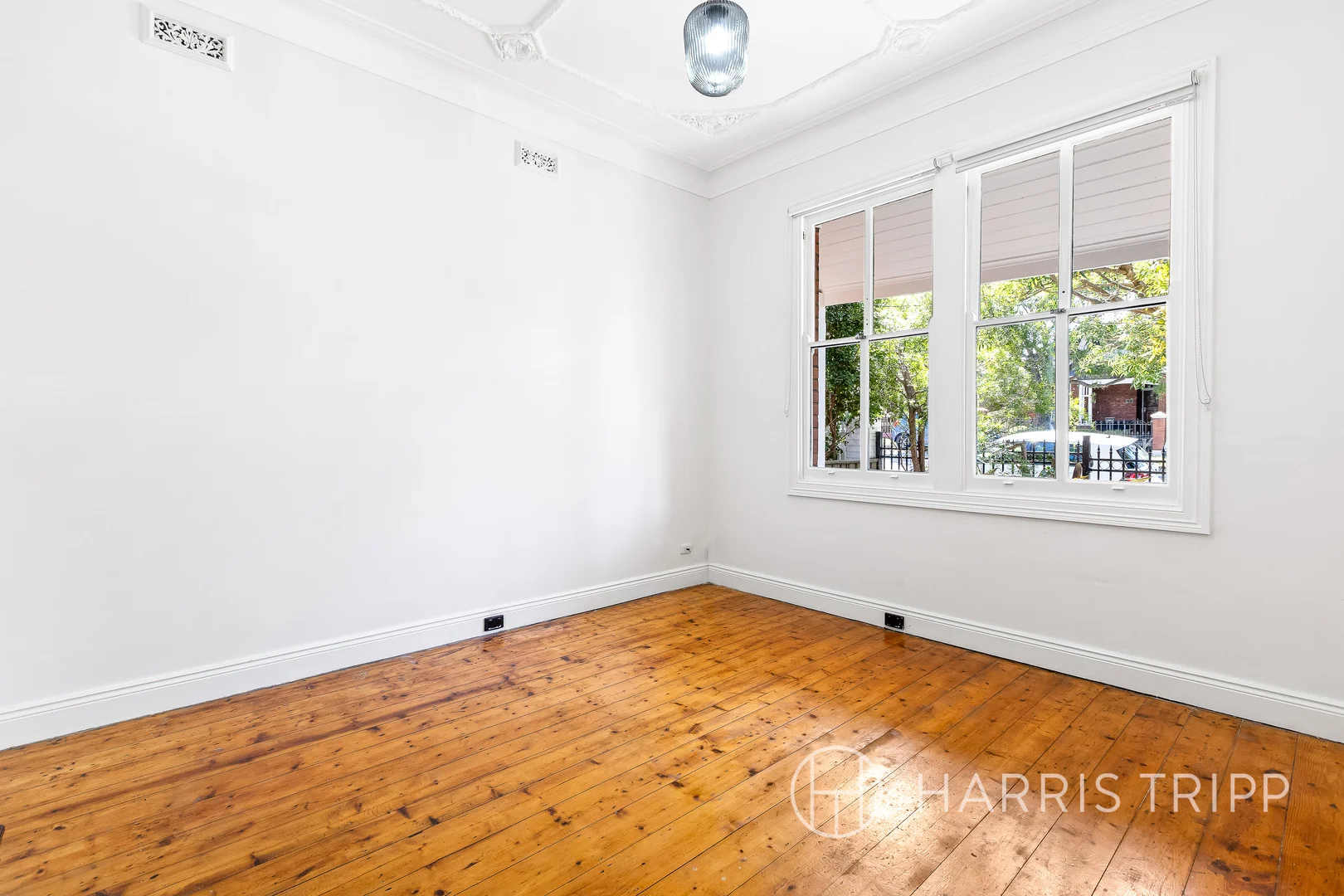 Additional image 3 of 55 Albany Road, Stanmore NSW 2048
