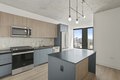 234 W Polk St Unit 2-2, Chicago, IL, 60607