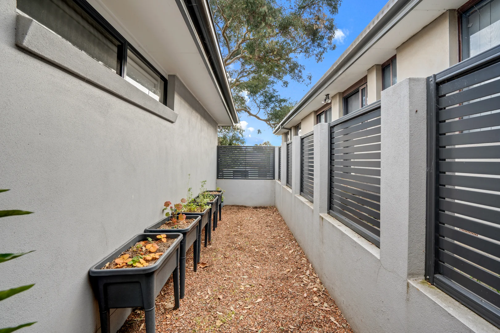 Additional image 14 of 3A Ashley Drive, Wanniassa ACT 2903