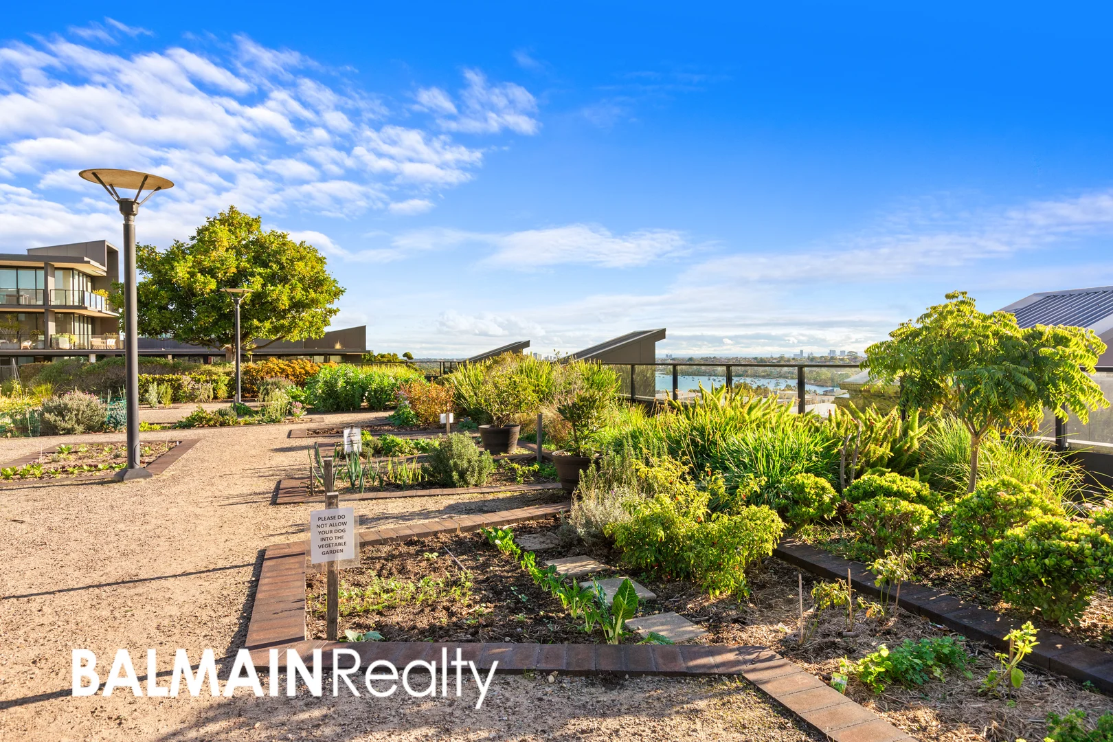 Additional image 14 of 501/1 Nagurra Place, Rozelle NSW 2039