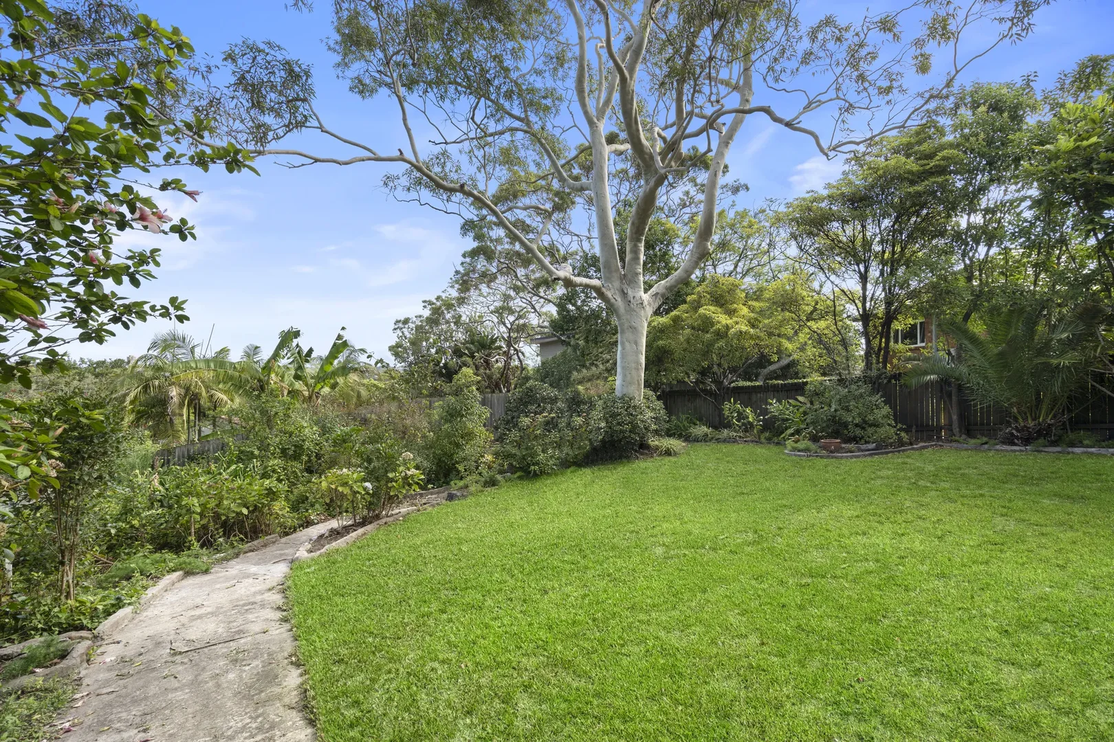 Additional image 5 of 40 Coles Road, Freshwater NSW 2096