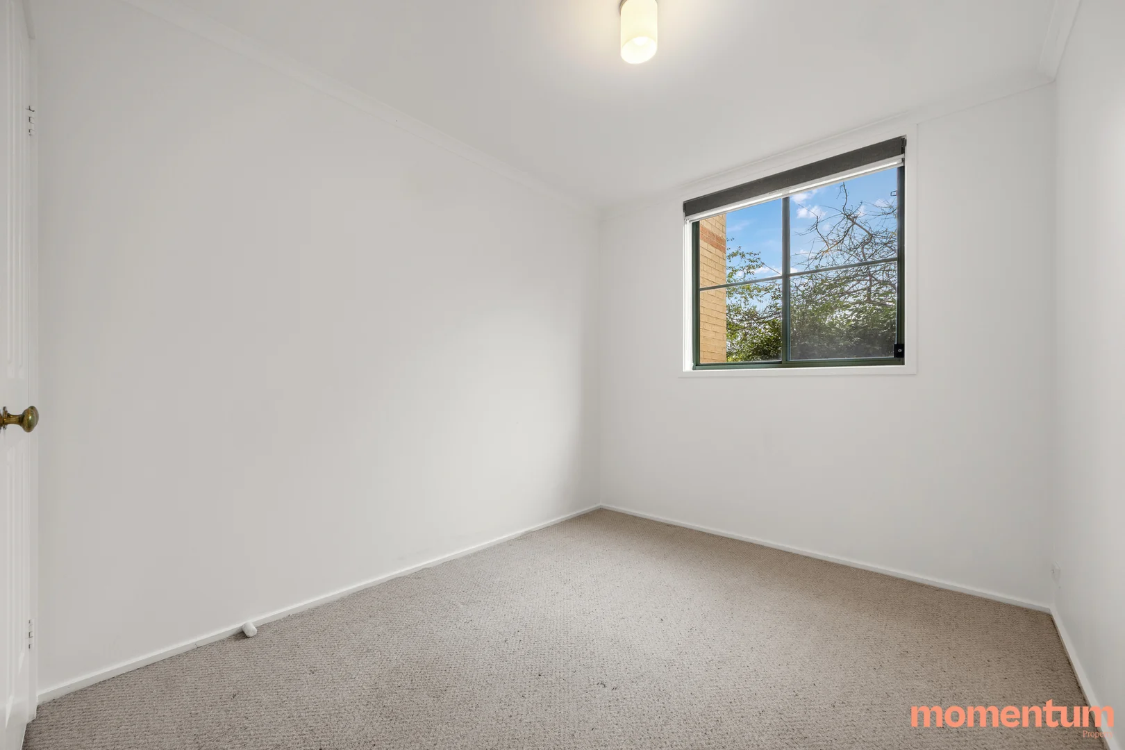 Additional image 11 of 13/9 Oxley Street, Griffith ACT 2603