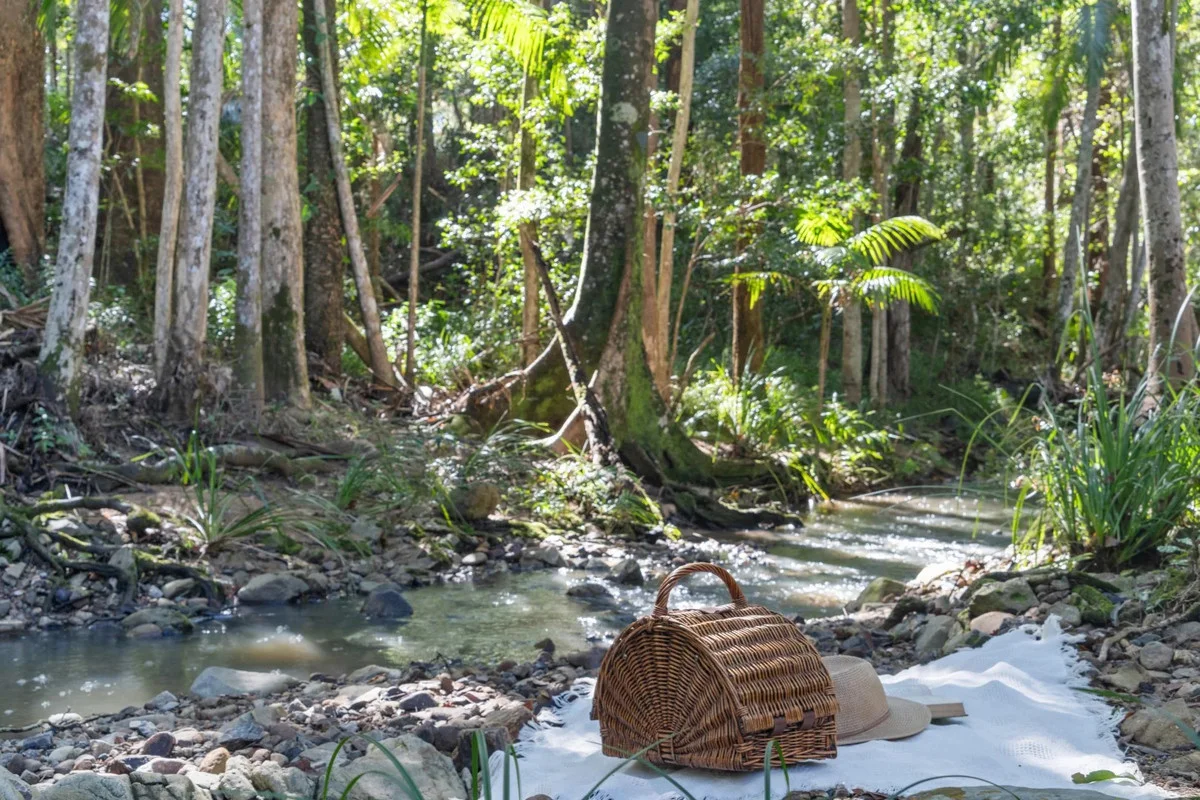 Additional image 23 of 248 Trees Road, Tallebudgera QLD 4228