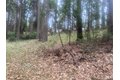 Additional image 46 of 9427 Grizzly Flat Rd, Grizzly Flats, CA, 95636
