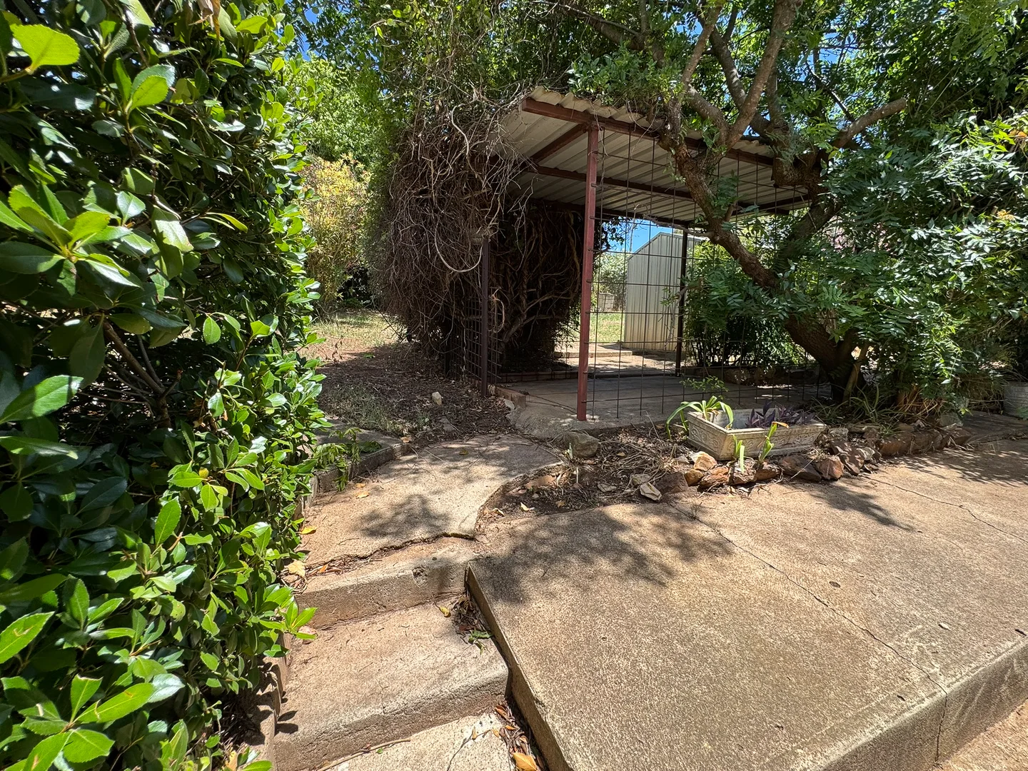 Additional image 11 of 41 Tallawang Street, Dunedoo NSW 2844