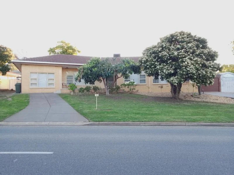 98 Flockhart Avenue, Valley View SA 5093