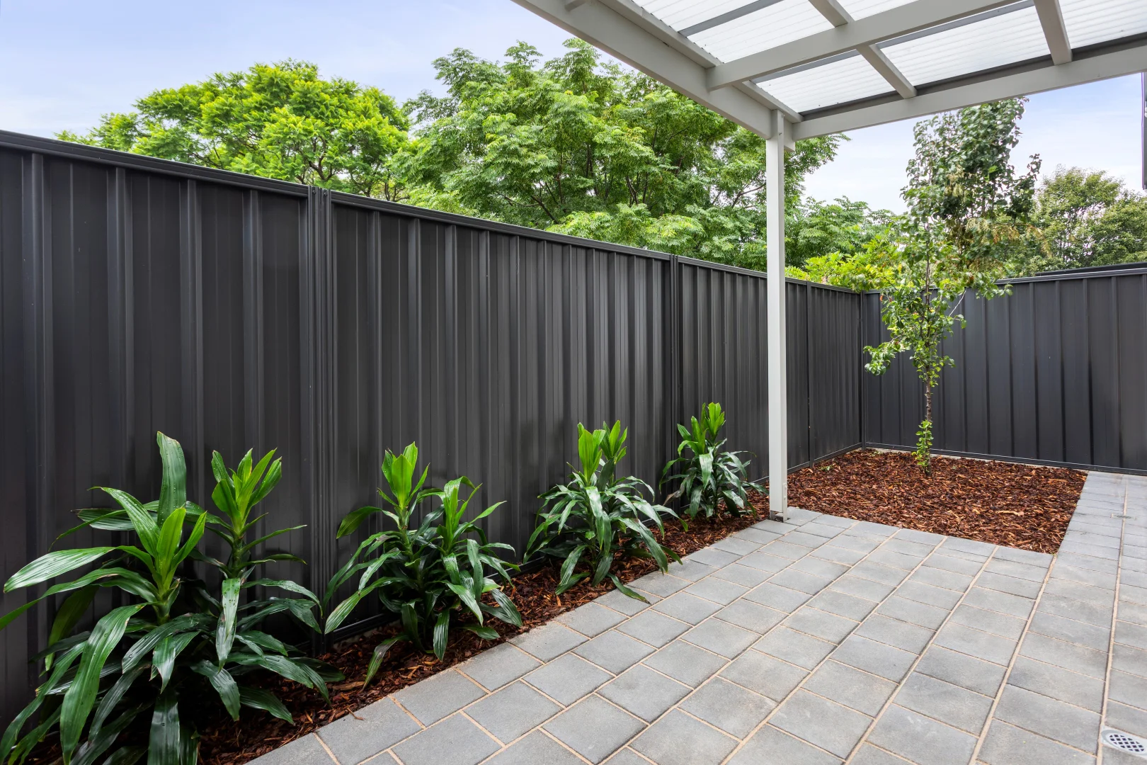 Additional image 17 of 14C Galway Av, North Plympton SA 5037