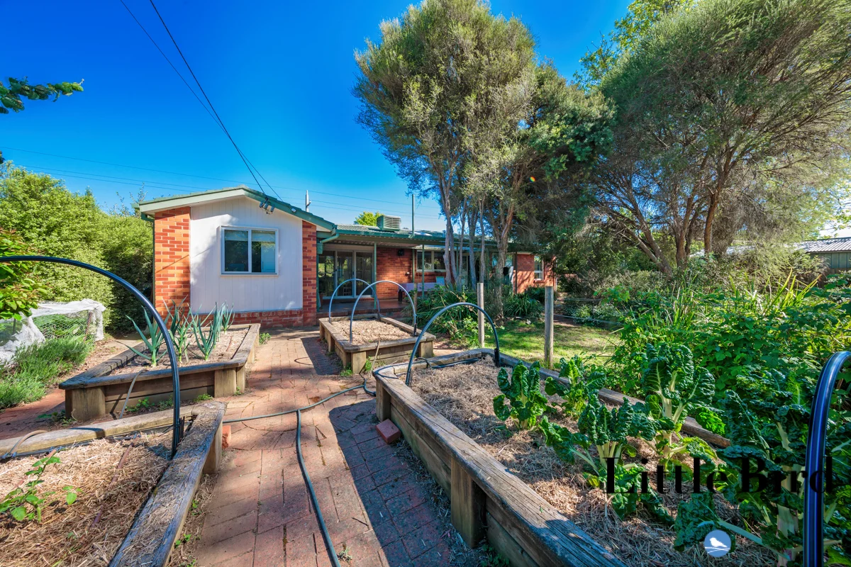 Additional image 17 of 25 Knox Street, Watson ACT 2602