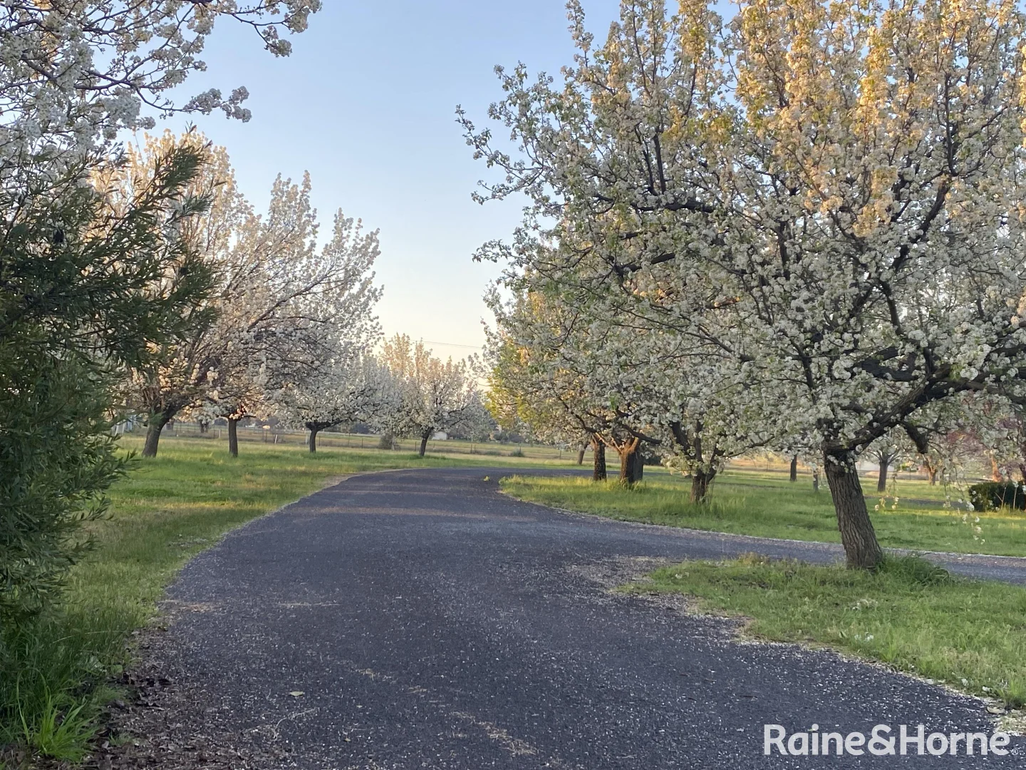 Additional image 3 of Mudgee NSW 2850