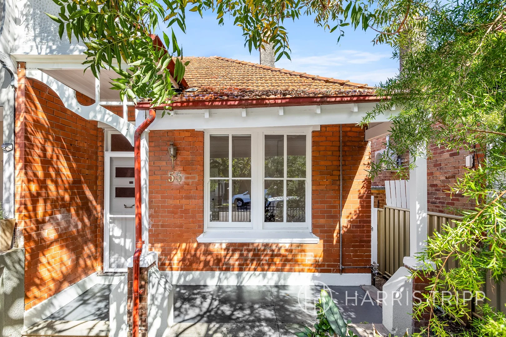 Additional image 6 of 55 Albany Road, Stanmore NSW 2048