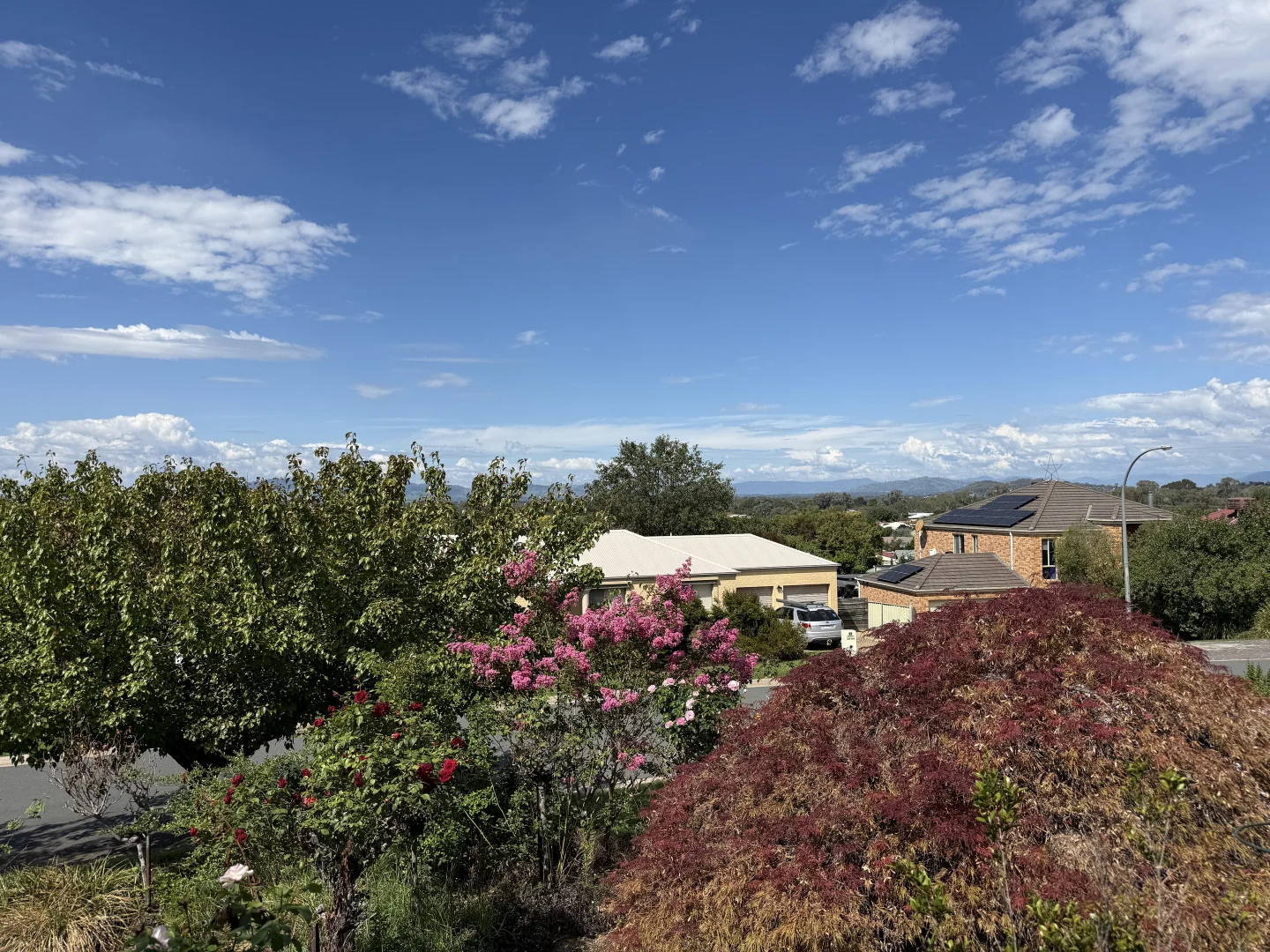 Additional image 16 of 66 Chad Terrace, Glenroy NSW 2640