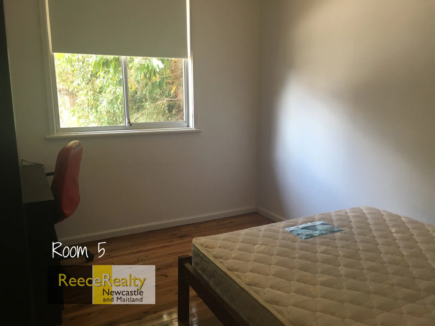 Additional image 6 of 36 Mary Street, Jesmond NSW 2299