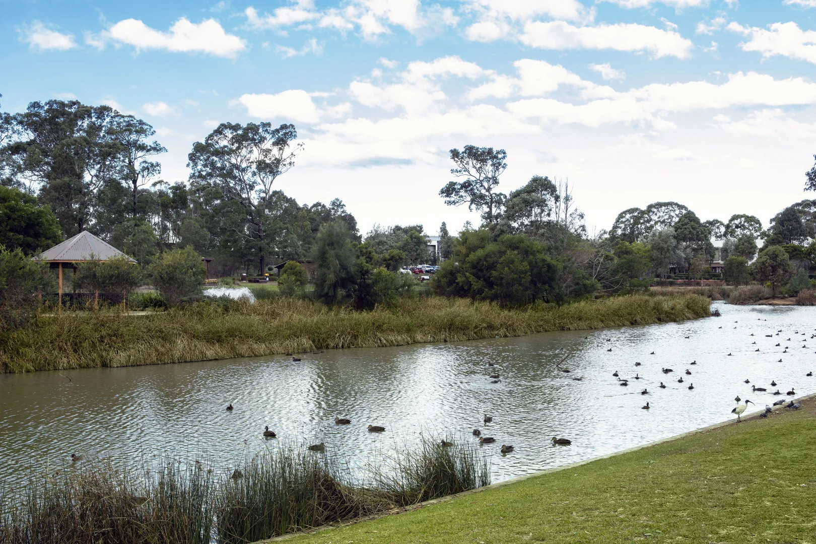 Additional image 9 of 324/7 Washington Avenue, Riverwood NSW 2210