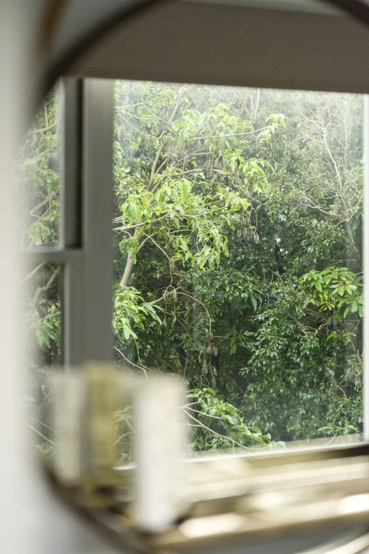 Additional image 8 of 44 Lower Coast Road, Stanwell Park NSW 2508