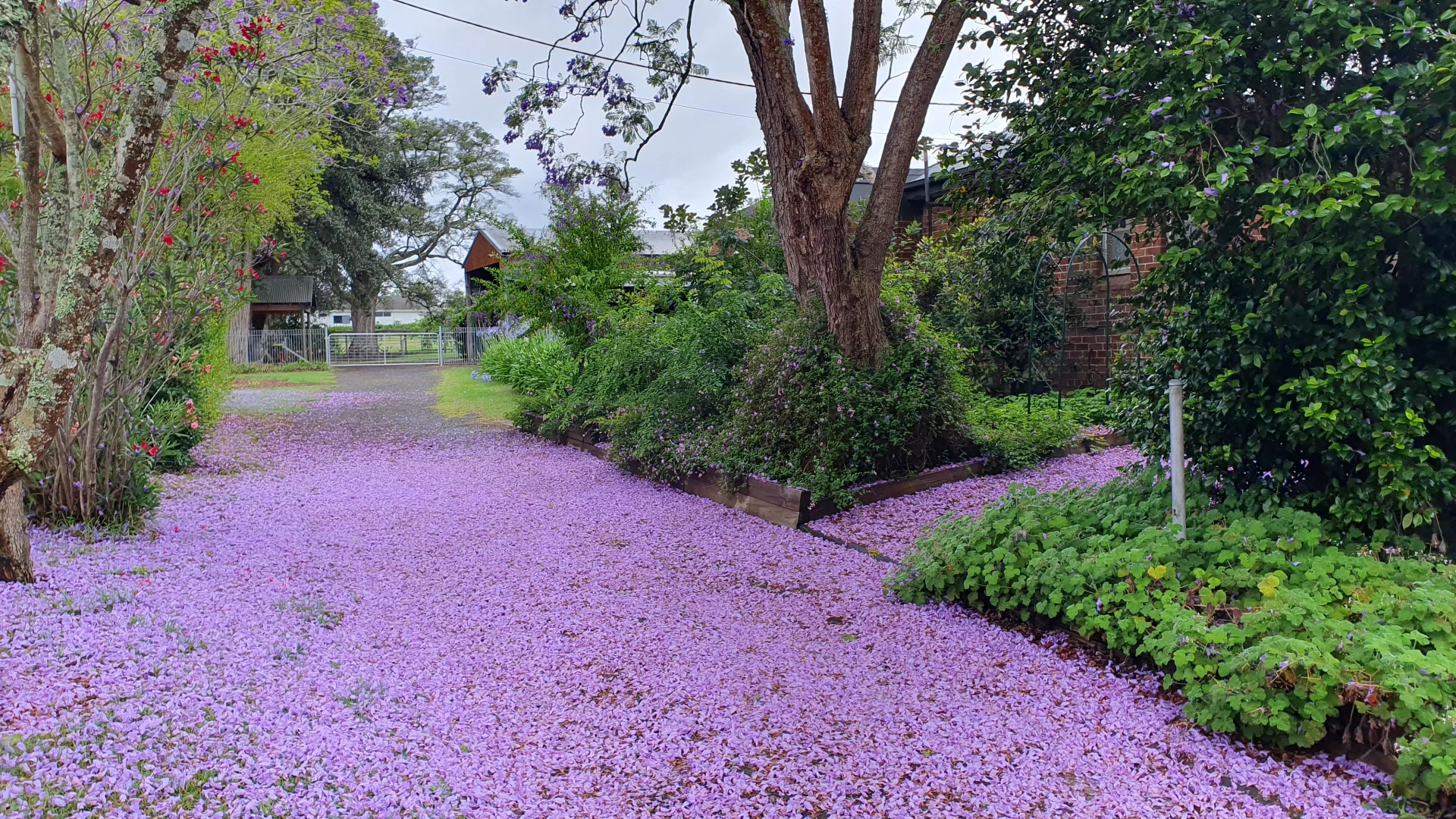 Additional image 2 of 35 Cattai Ridge Road, Glenorie NSW 2157