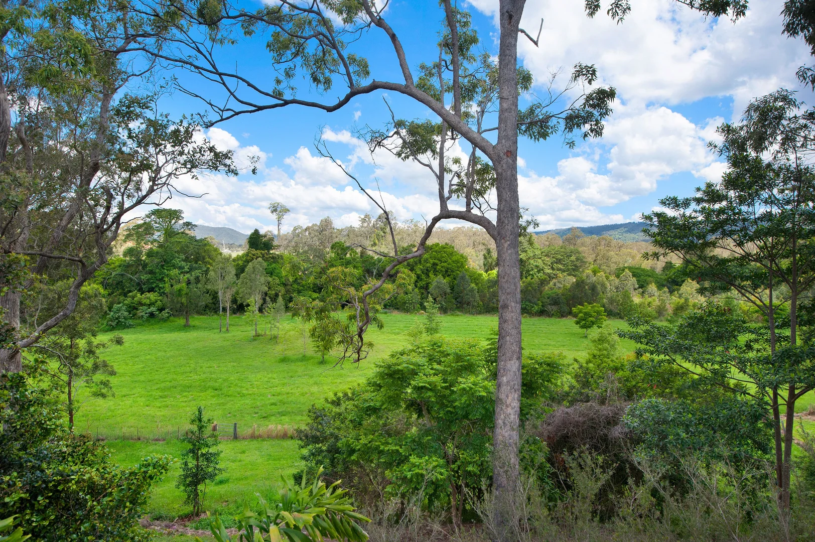 Additional image 16 of 17 Stavewood Court, Highvale QLD 4520