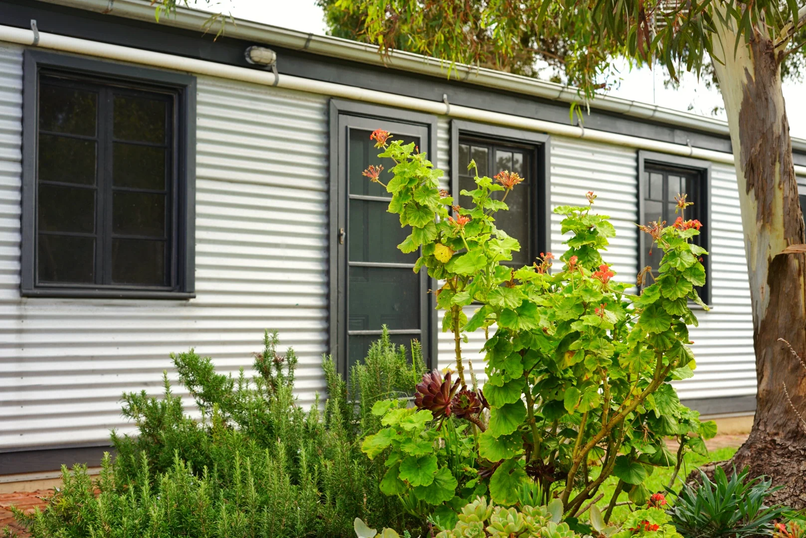 Additional image 27 of 8 Newacott Place, Goolwa SA 5214