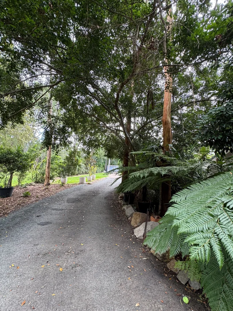 Additional image 16 of 262 Kangaroo Gully Rd, Bellbowrie QLD 4070