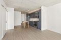 Additional image 3 of 311 W Illinois St Unit 1-1, Chicago, IL, 60654