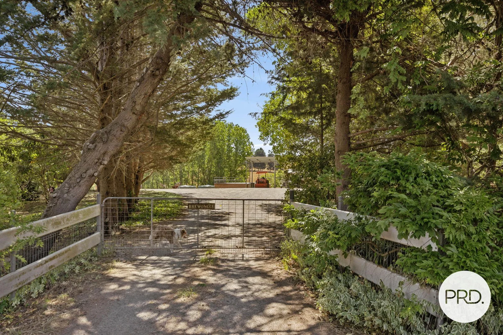 Additional image 14 of 1349 Bungendore Road, Bywong NSW 2621