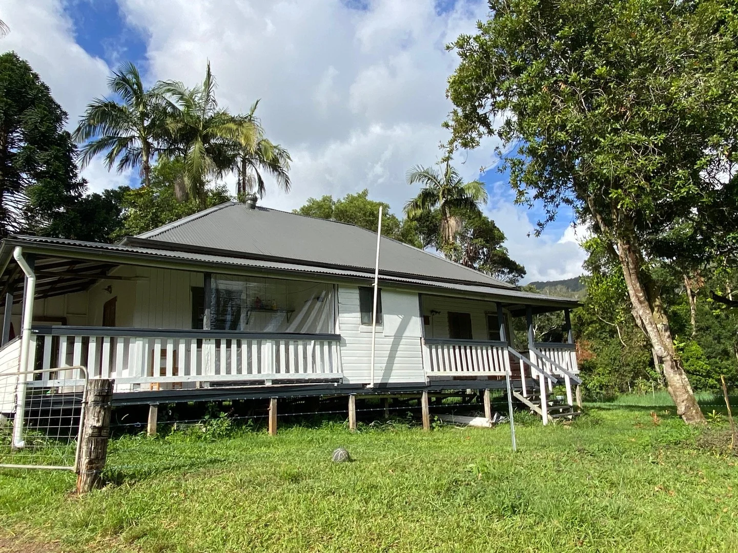 1239 Terania Creek Road, The Channon NSW 2480