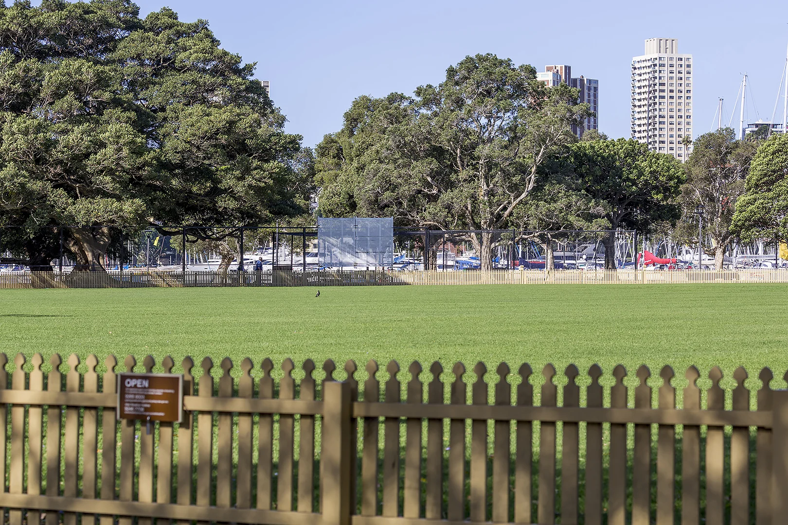 Additional image 14 of 20 Waratah Street, Rushcutters Bay NSW 2011