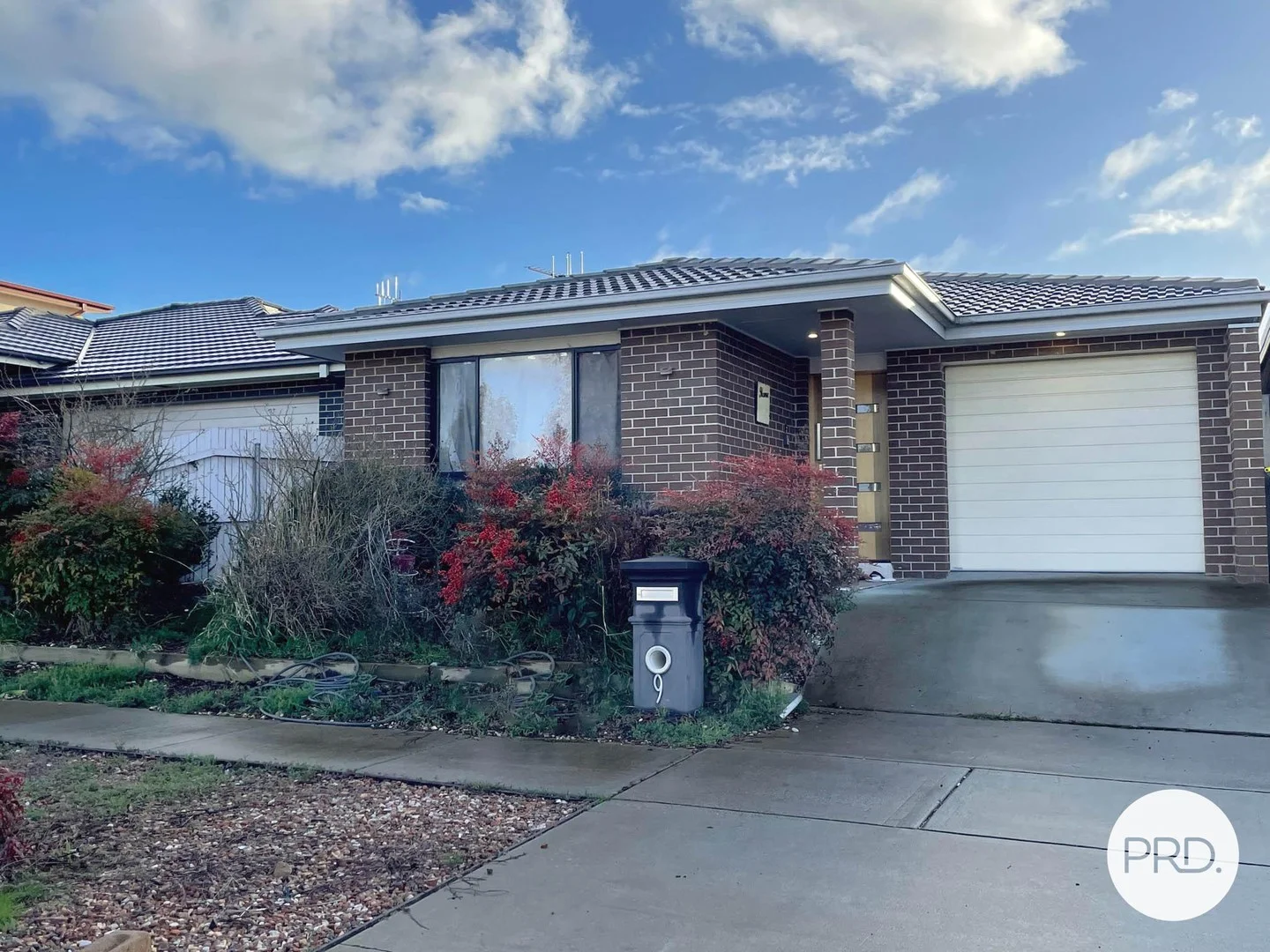 9 Trephina Street, Harrison ACT 2914