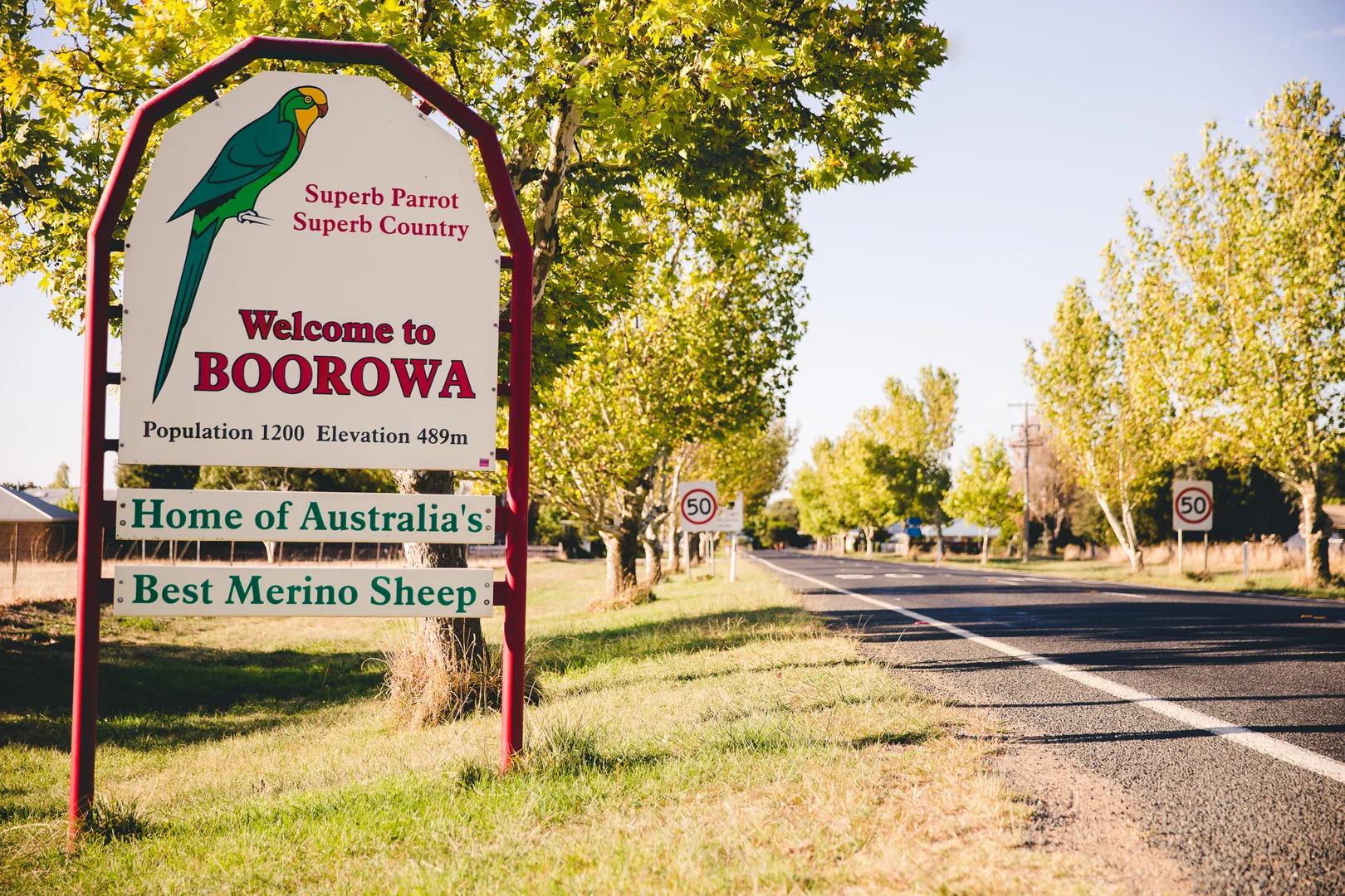 Additional image 15 of 95 Pudman Street, Boorowa NSW 2586