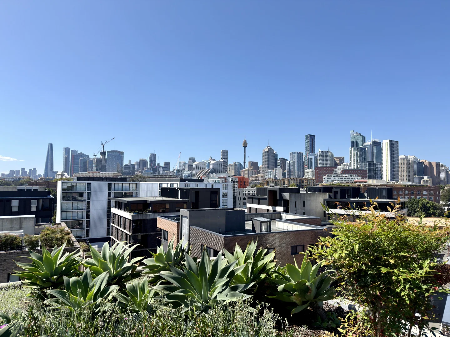 615/5 Elger St, Glebe NSW 2037 photo 2