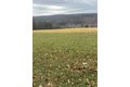 Additional image 38 of 1742 Addison Back Rd, Addison, NY, 14801